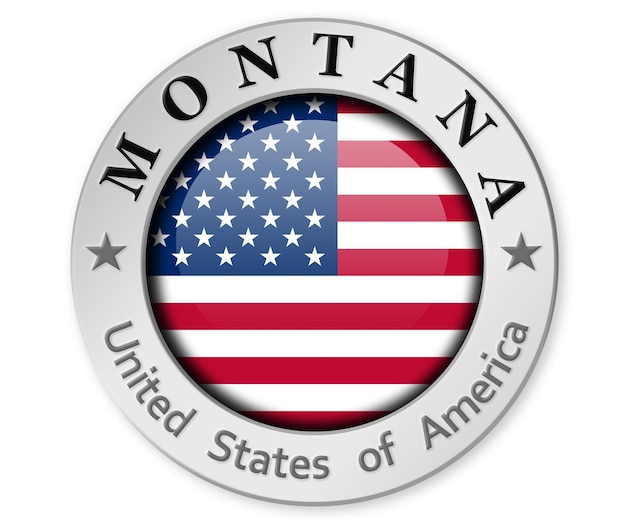 Distintivo d'argento con bandiera del Montana e degli Stati Uniti