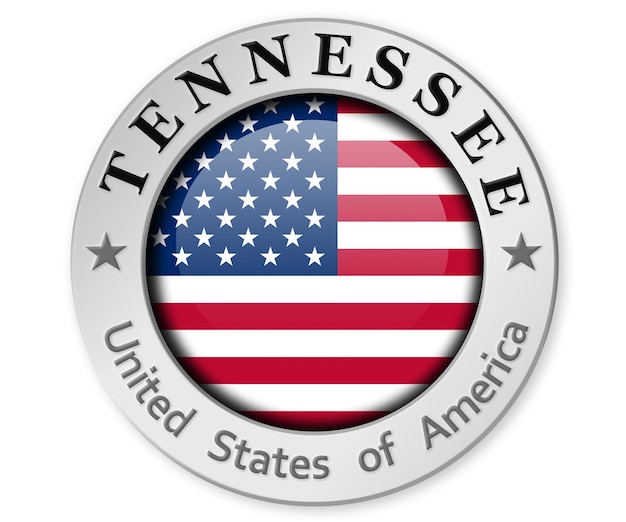 Distintivo d'argento con bandiera del Tennessee e degli Stati Uniti