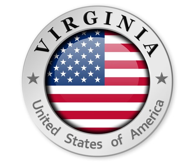 Distintivo d'argento con bandiera della Virginia e degli Stati Uniti