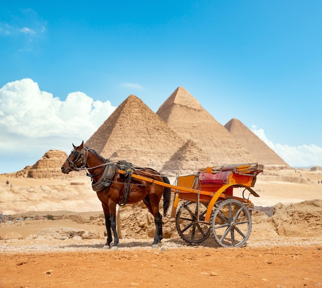 Distretto della città di Giza