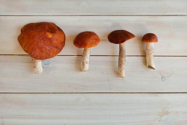 Diverse dimensioni di porcini su tavola di legno in fila deliziosi funghi porcini gourmet vista dall'alto