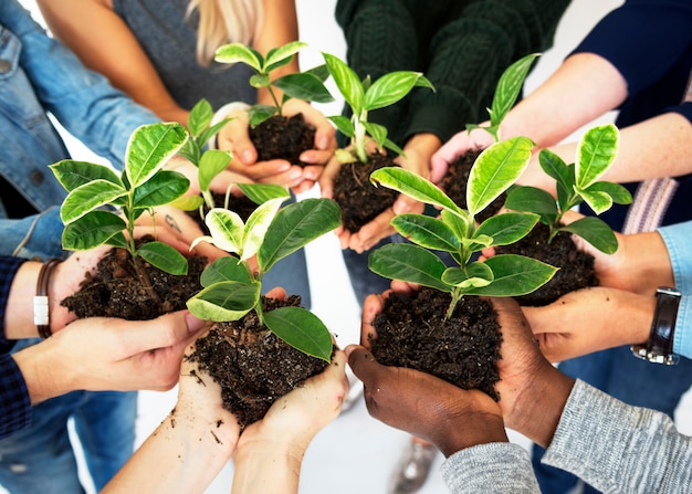 Diverse persone mani tenere piante natura