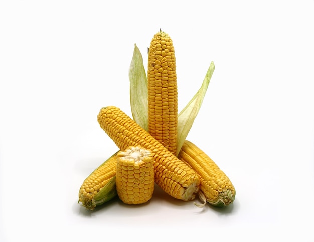 Diverse spighe di grano con foglie su sfondo chiaro Prodotto naturale Struttura naturale Colore naturale Primo piano