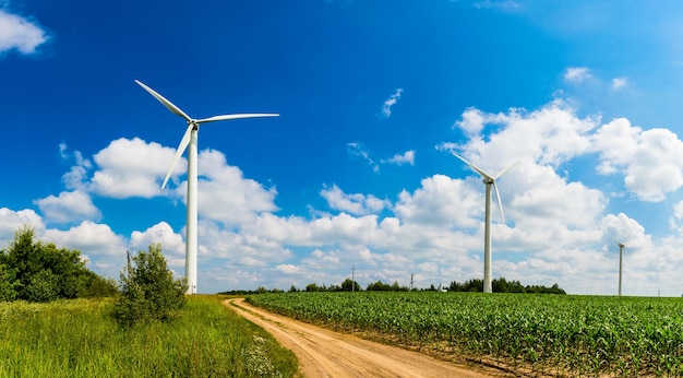 Diverse turbine eoliche stanno lavorando in un campo estivo contro un cielo blu