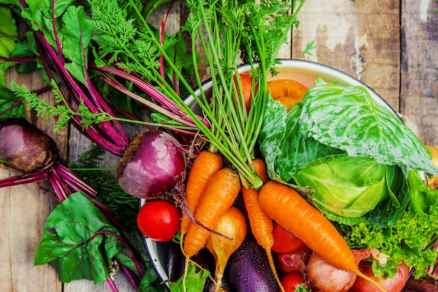 Diverse verdure biologiche. Messa a fuoco selettiva natura del cibo.