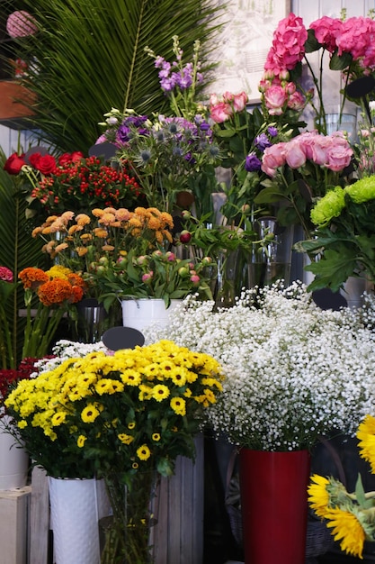 Diversi fiori che sbocciano in negozio