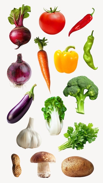 Diversi set di elementi vegetali biologici