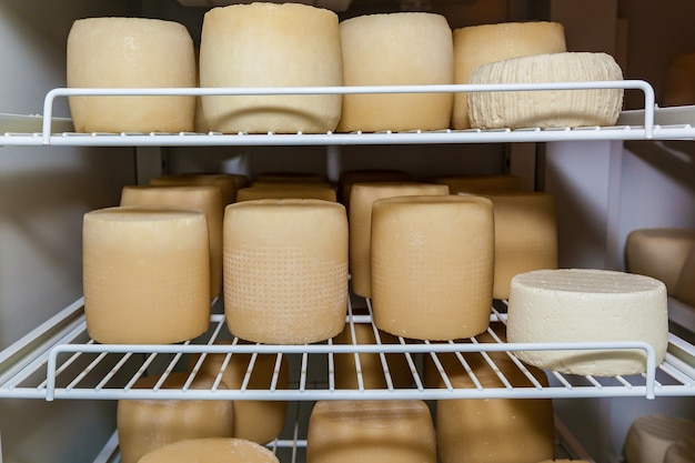Diversi tipi di formaggio sugli scaffali di un frigorifero in un caseificio