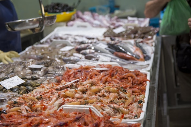 Diversi tipi di frutti di mare al mercato del pesce