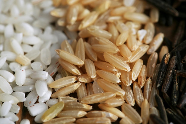 Diversi tipi di riso da vicino