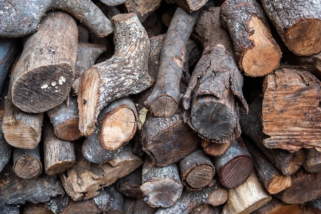 Diversi tipi di tronchi di legno ecologico impilati pronti da bruciare per il barbecue o per il camino