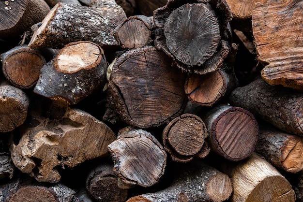 Diversi tipi di tronchi di legno ecologico impilati pronti da bruciare per il barbecue o per il camino