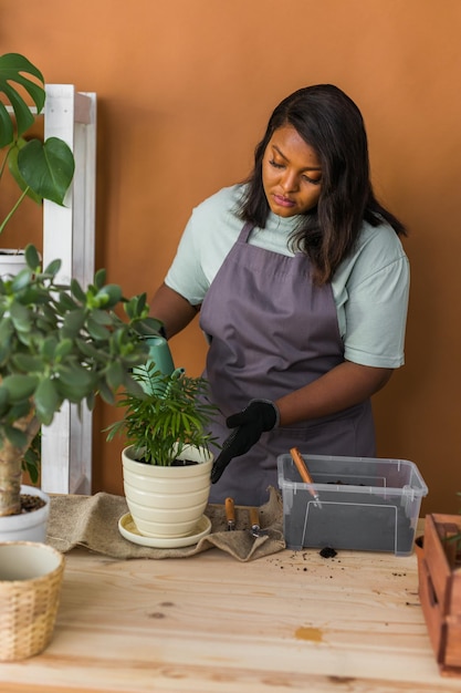 Diversità donna afroamericana giardiniere che innaffia piante piante verdi in vasi di ceramica sul pavimento c