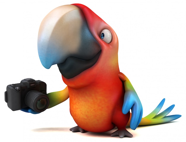 Divertente animazione pappagallo