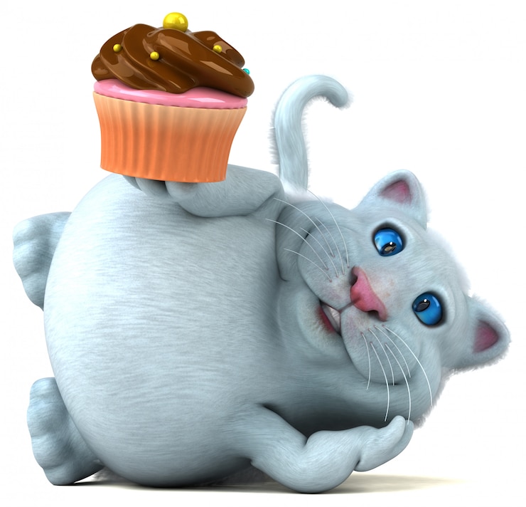 Foto divertente animazione per gatti