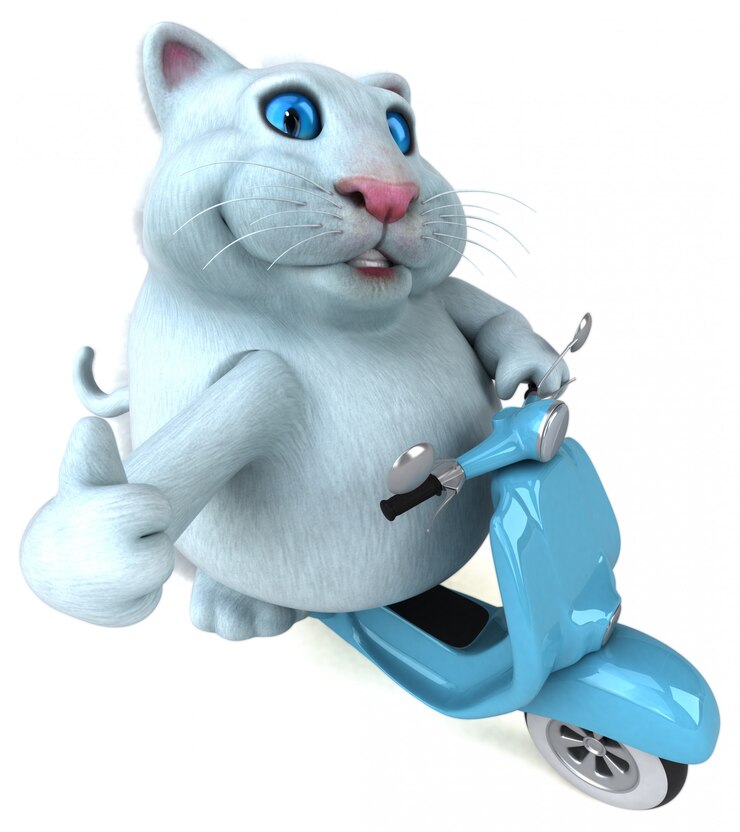 Foto divertente animazione per gatti