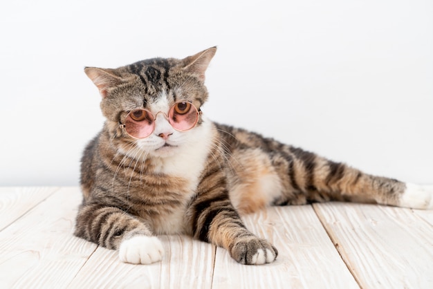 Divertente gatto grigio con occhiali da sole di moda