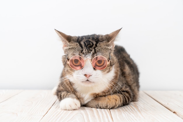 Divertente gatto grigio con occhiali da sole di moda