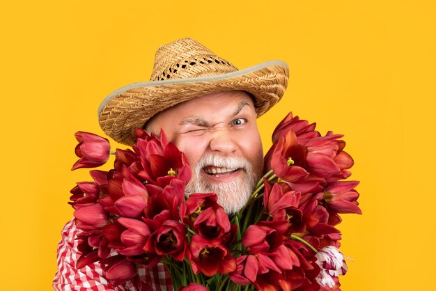 Divertente vecchio uomo in pensione faccia in cappello tenere fiori di tulipano primaverili su sfondo giallo