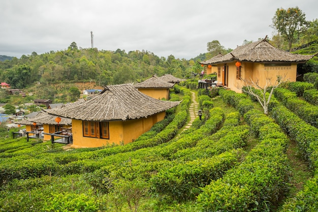 Divieto di Rak Thai, uno stabilimento cinese nella provincia di Mae Hong Son, nel nord della Thailandia