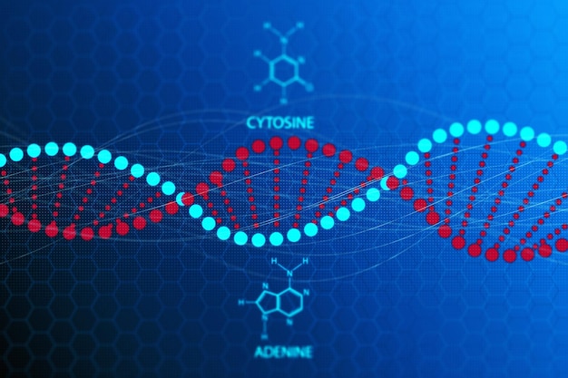 DNA a spirale cromosomica