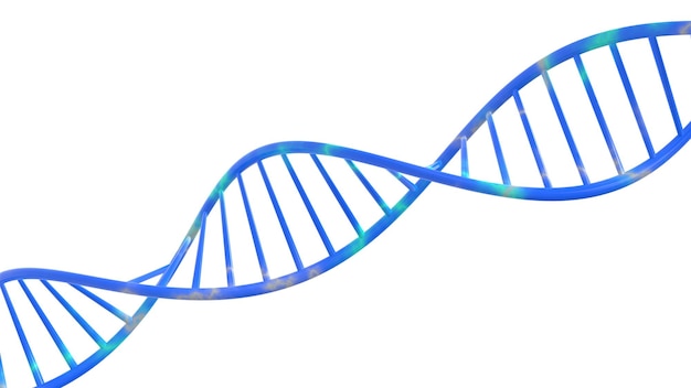 DNA dell'elica isolato su sfondo 3d rendering di illustrazione