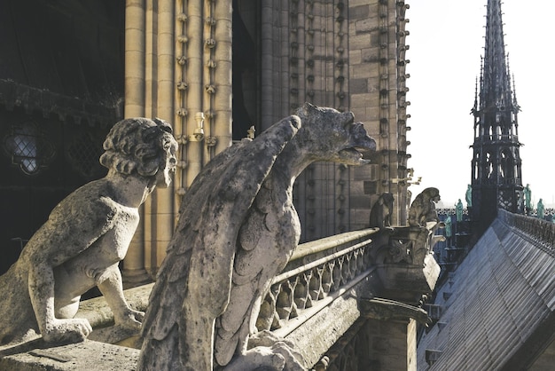 Doccioni di Notre-Dame, Parigi, Francia