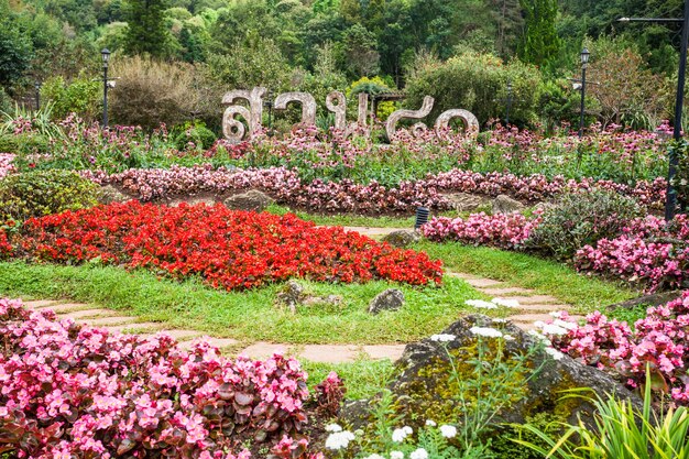 DOI ANG KHANG, Thailandia - 3 novembre 2014: Stazione agricola reale di Doi Ang Khang, nel nord della Thailandia.