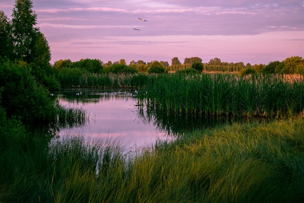 Dolce alba sul lago in estate