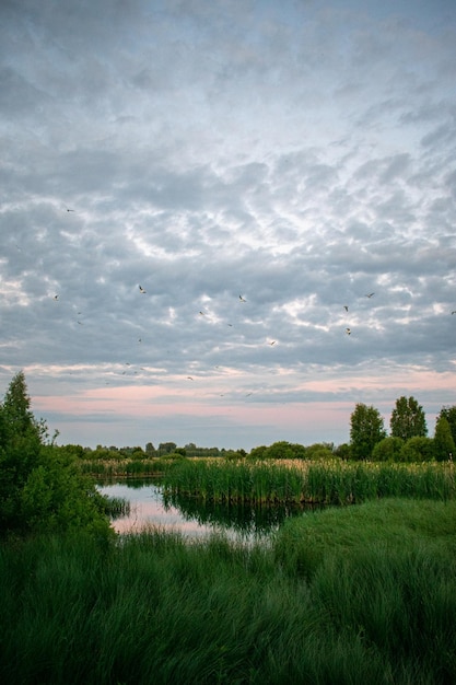 Dolce alba sul lago nel campo