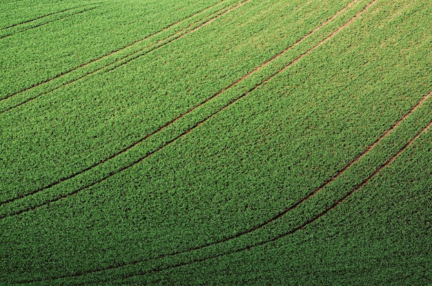 Dolci colline con campi adatti per sfondi o sfondi paesaggio naturale stagionale Moravia meridionale Repubblica ceca