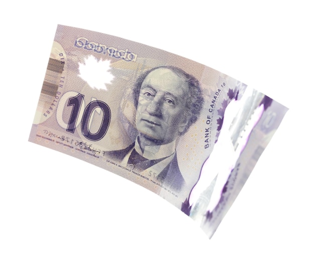 Dollaro canadese 10 isolato su bianco