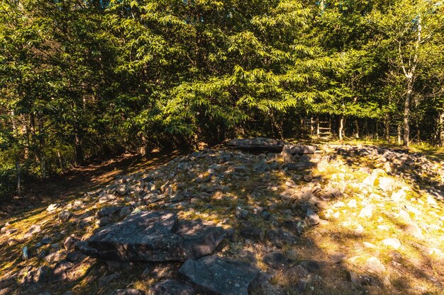 Dolmen nel parco naturale di Listorreta nel comune di Errenteria nel parco delle Penas de Aya