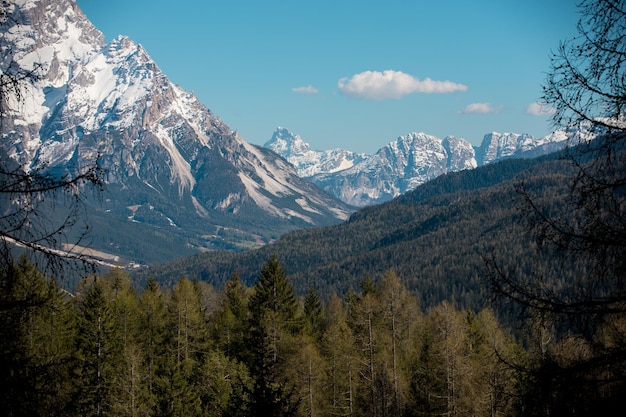 Dolomiti natura un paesaggio di montagne e foreste