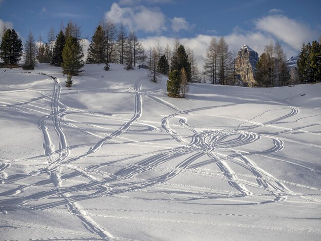 Dolomiti neve panorama sci alpino piste fuori pista