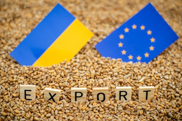 Domanda problemi di esportazione di grano ucraino verso i paesi dell'Unione europea La parola esportazione e le bandiere dell'Ucraina e dell'Unione europea sullo sfondo del grano