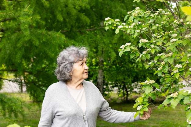 Donna abbastanza anziana in età pensionabile che cammina nel parco tra alberi in fiore. La nonna guarda un albero in fiore e tiene in mano un ramo fiorito.