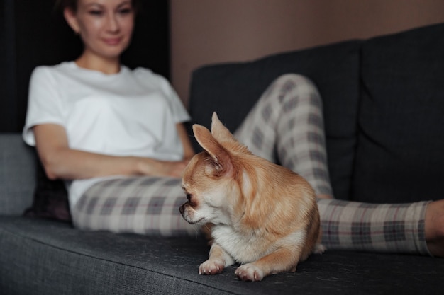 Donna abbastanza matura con il cane Chihuahua sul divano scuro nel soggiorno di casa. Femmina di mezza età e il suo cagnolino Chihuahua. Concetto di amore per animali domestici e amico di famiglia