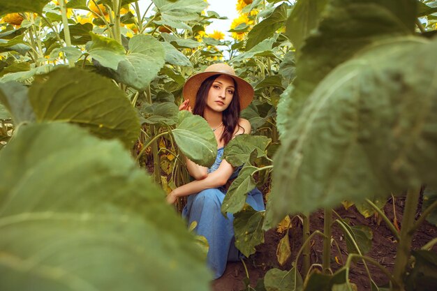 Donna adorabile che si siede fra il giacimento di girasole di fioritura del mazzo giallo all'aperto natura calda di alba