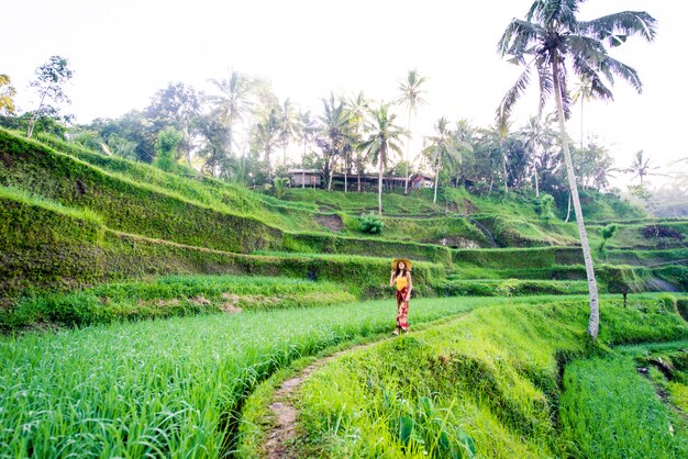 Donna alla terrazza del riso Tegalalang a Bali