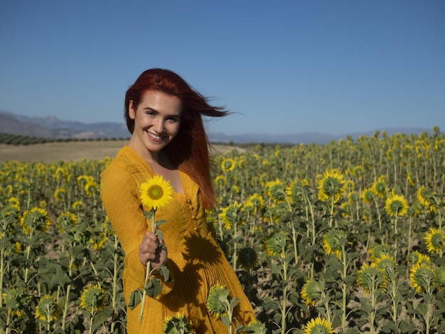 Donna allegra in piantagione con i girasoli