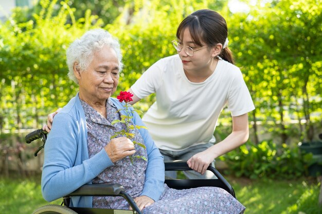 Donna anziana asiatica con un fiore di rosa rosso sorriso e felice nel giardino soleggiato