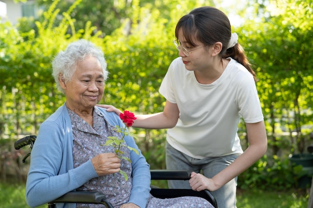 Donna anziana asiatica con un fiore di rosa rosso sorriso e felice nel giardino soleggiato