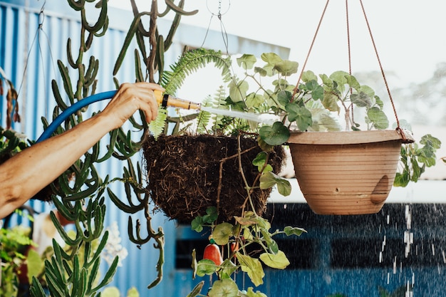 Donna anziana che innaffia il giardino.