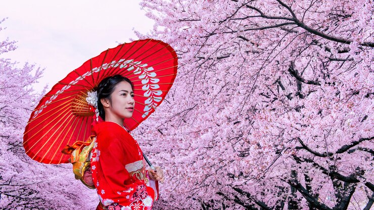 Donna asiatica che porta il kimono e il fiore di ciliegia tradizionali giapponesi in primavera, Giappone.