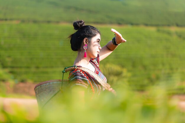 Donna asiatica dei turisti tra molte piantagioni di tè presso la Chouifong Tea Farm Chiangrai Thailandia