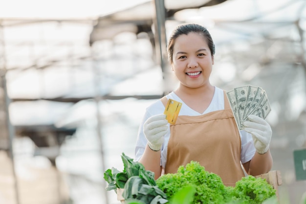 Donna asiatica dell'agricoltore che lavora nella fattoria idroponica di verdure organiche. Proprietario dell'orto di insalata idroponica che controlla la qualità della verdura nella piantagione di serre.