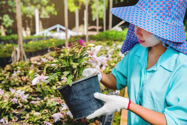 Donna asiatica dell'operaio felice con la piantatura dei fiori che cattura cura dei fiori in serra.