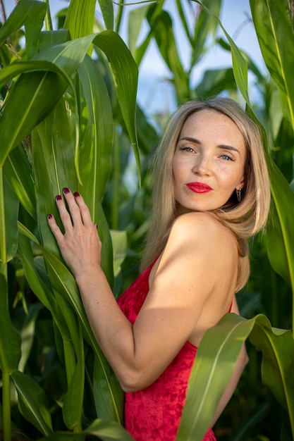 Donna bionda attraente in un campo di grano