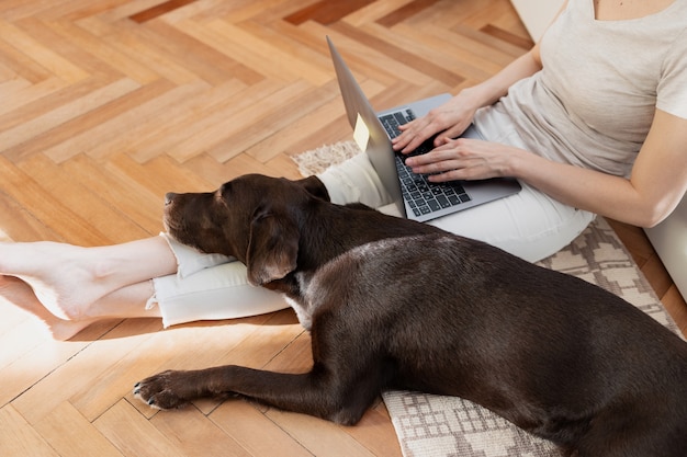 donna caucasica che lavora a casa sul computer portatile seduta sul pavimento casa ufficio cane che dorme accanto alla donna